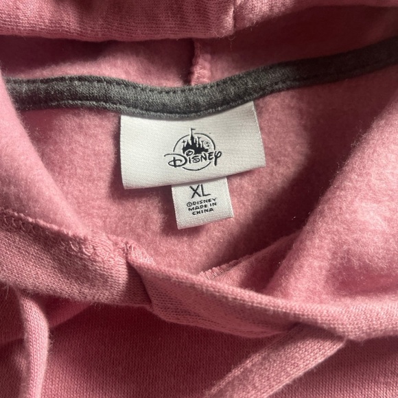 Walt Disney World Pink and Gray Pullover Hoodie for Women size XL - Picture 4 of 8